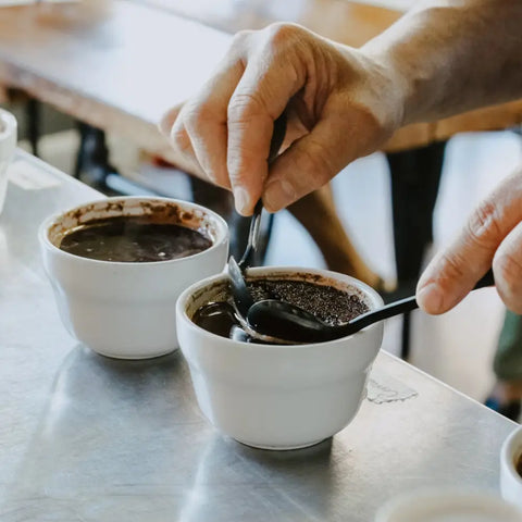 Le café de spécialité : tout savoir sur ce grain d'exception qui révolutionne ta tasse
