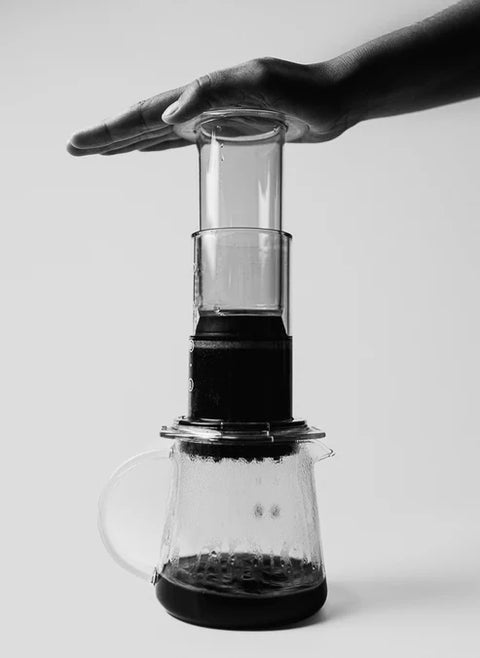 DISC 63 FAST – Filter for immersion method Sibarist