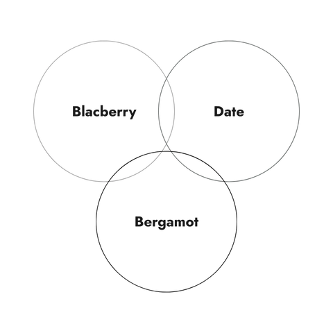Finca Soledad Sidra Wave Fermented Honey 