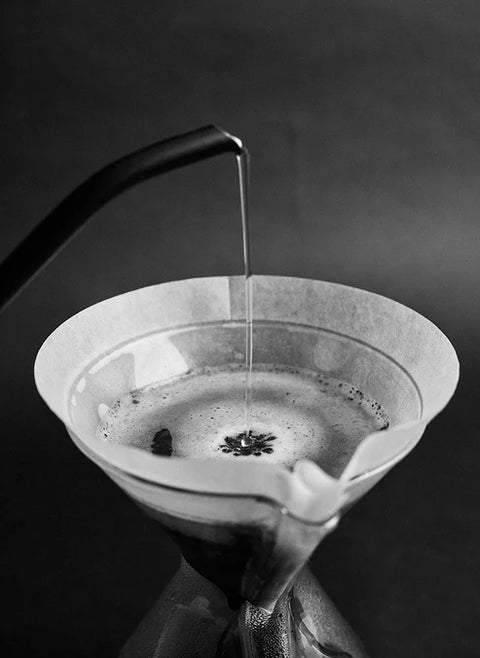 CONE XL FAST – Wide Conical Filter Sibarist